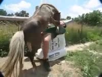 [ Zoo XXX Video ] A Horse Fucked him Like a Woman